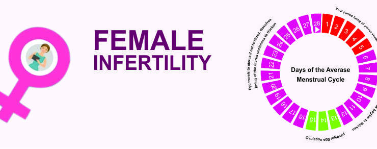 COMPREHENSIVE EVALUATION OF INFERTILE FEMALE
