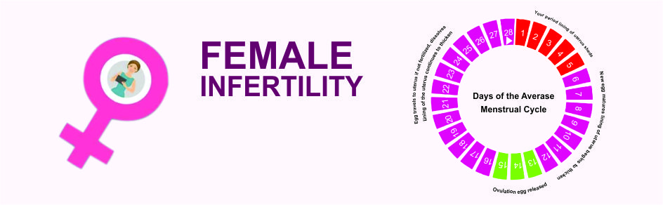 Comprehensive Evaluation of Infertile Female