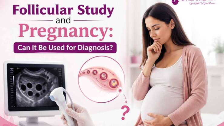 Follicular Study and Pregnancy: Can It Be Used for Diagnosis?