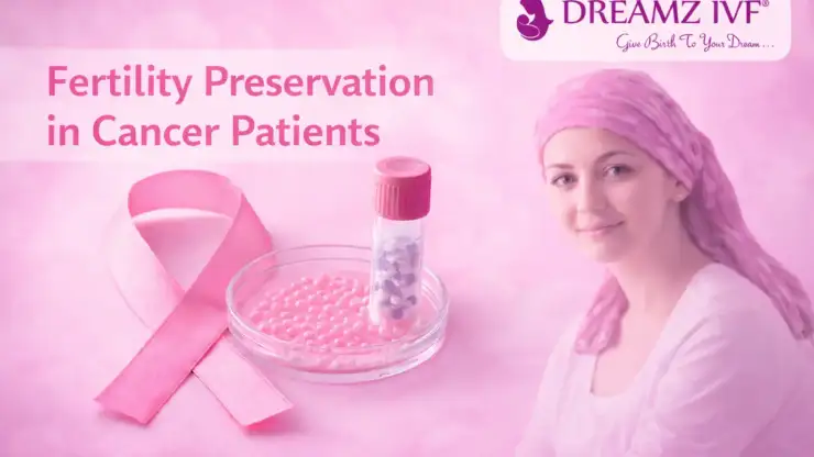 Fertility Preservation in Cancer Patients