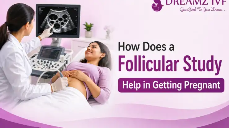 How Does a Follicular Study Help in Getting Pregnant?
