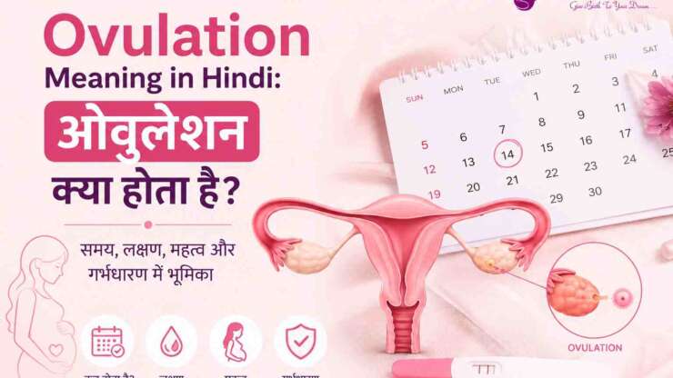 Ovulation Meaning in Hindi: ओवुलेशन क्या होता है?