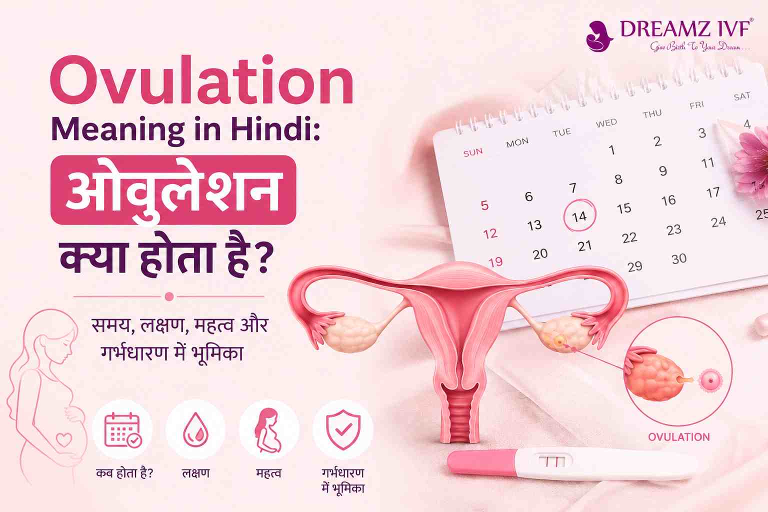 Ovulation Meaning in Hindi: ओवुलेशन क्या होता है?