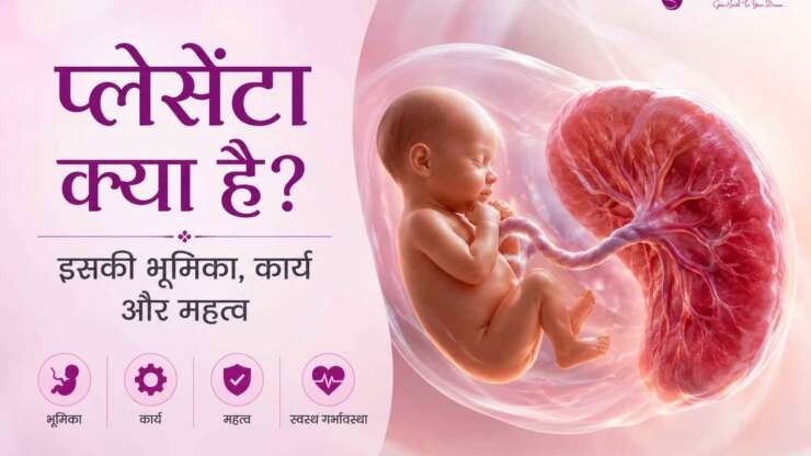 Placenta Meaning in Hindi: प्लेसेंटा क्या है? इसकी भूमिका, कार्य और महत्व