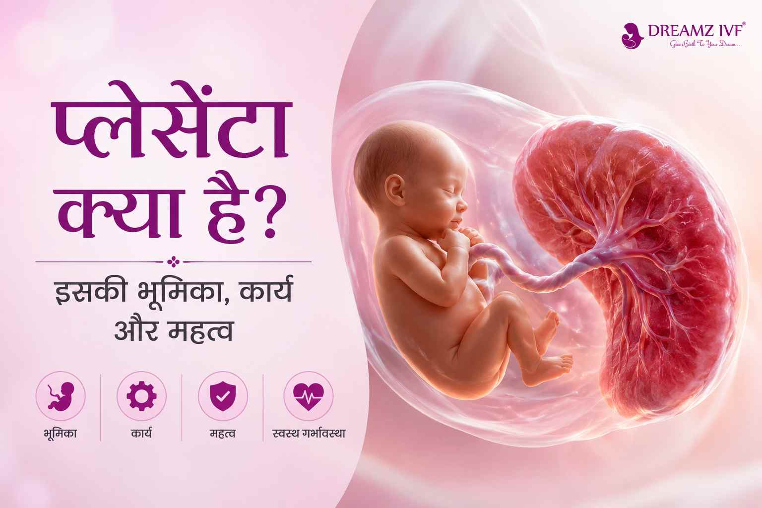 Placenta Meaning in Hindi: प्लेसेंटा क्या है? इसकी भूमिका, कार्य और महत्व